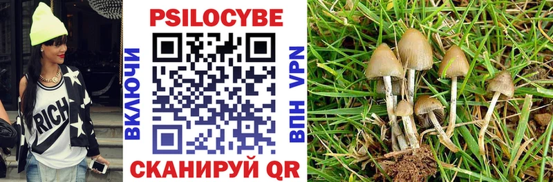 Купить  Серафимович  Псилоцибиновые грибы Magic Shrooms 